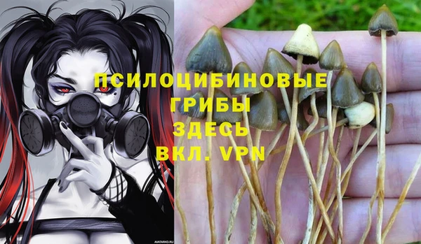 скорость Пестово